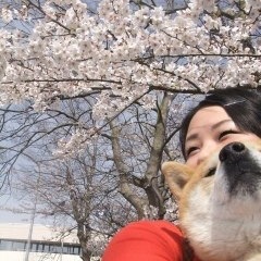 29位のイメージ