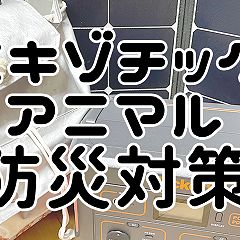 21位のイメージ