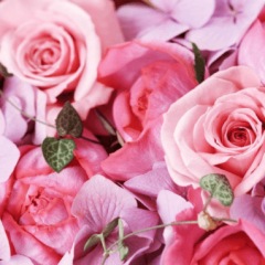 211位のイメージ