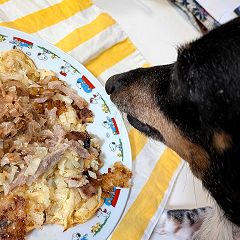 108位のイメージ