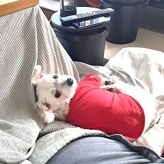 25位のイメージ