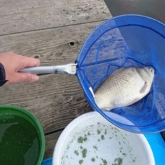 16位のイメージ