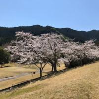 23位のイメージ