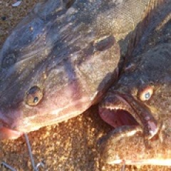 12位のイメージ