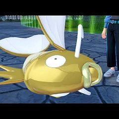 34位のイメージ