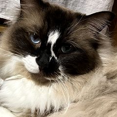 11位のイメージ