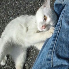 23位のイメージ