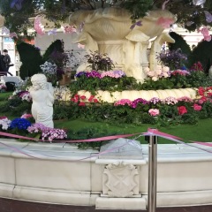 25位のイメージ