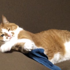 13位のイメージ