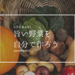 58位のイメージ