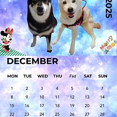 17位のイメージ