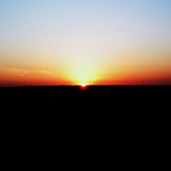 54位のイメージ