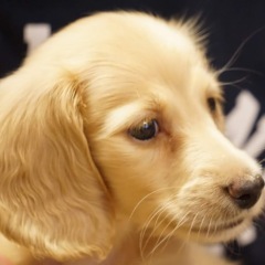 60位のイメージ