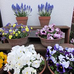 147位のイメージ