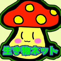 24位のイメージ