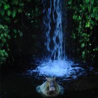 17位のイメージ