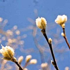 10位のイメージ