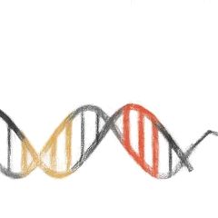 26位のイメージ