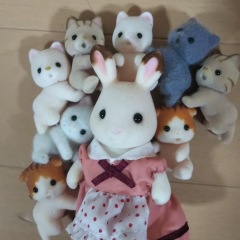 23位のイメージ