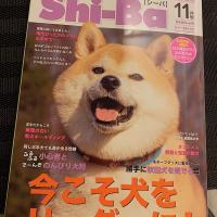 42位のイメージ