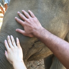 15位のイメージ