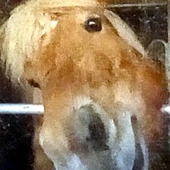 233位のイメージ