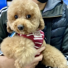 10位のイメージ