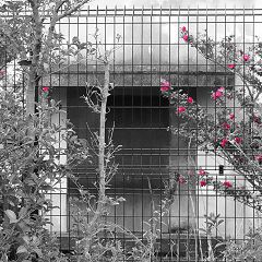 30位のイメージ