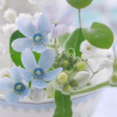 26位のイメージ