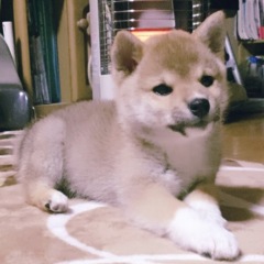 12位のイメージ