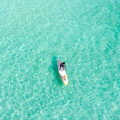 26位のイメージ