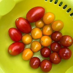 176位のイメージ