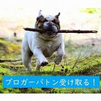 126位のイメージ