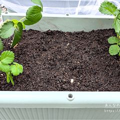 40位のイメージ