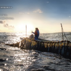 40位のイメージ