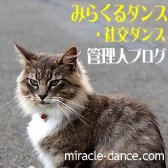 31位のイメージ