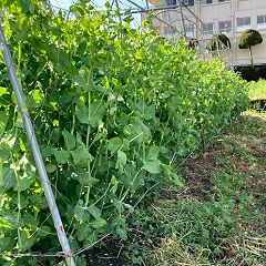 117位のイメージ