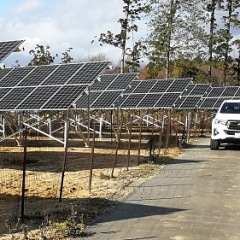 11位のイメージ