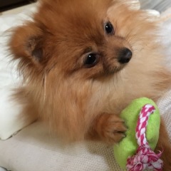 15位のイメージ