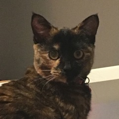 15位のイメージ