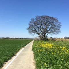 18位のイメージ