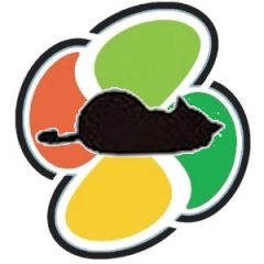 26位のイメージ