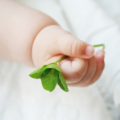 26位のイメージ