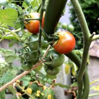 12位のイメージ