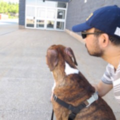 13位のイメージ