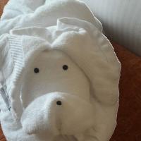 15位のイメージ