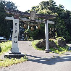 41位のイメージ