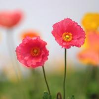 25位のイメージ