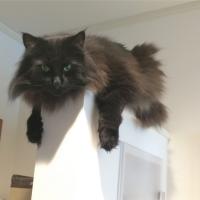 13位のイメージ