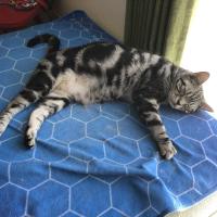 15位のイメージ